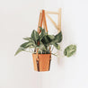 Leather Hanging Planter - Espacio Handmade