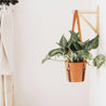 Leather Hanging Planter - Espacio Handmade