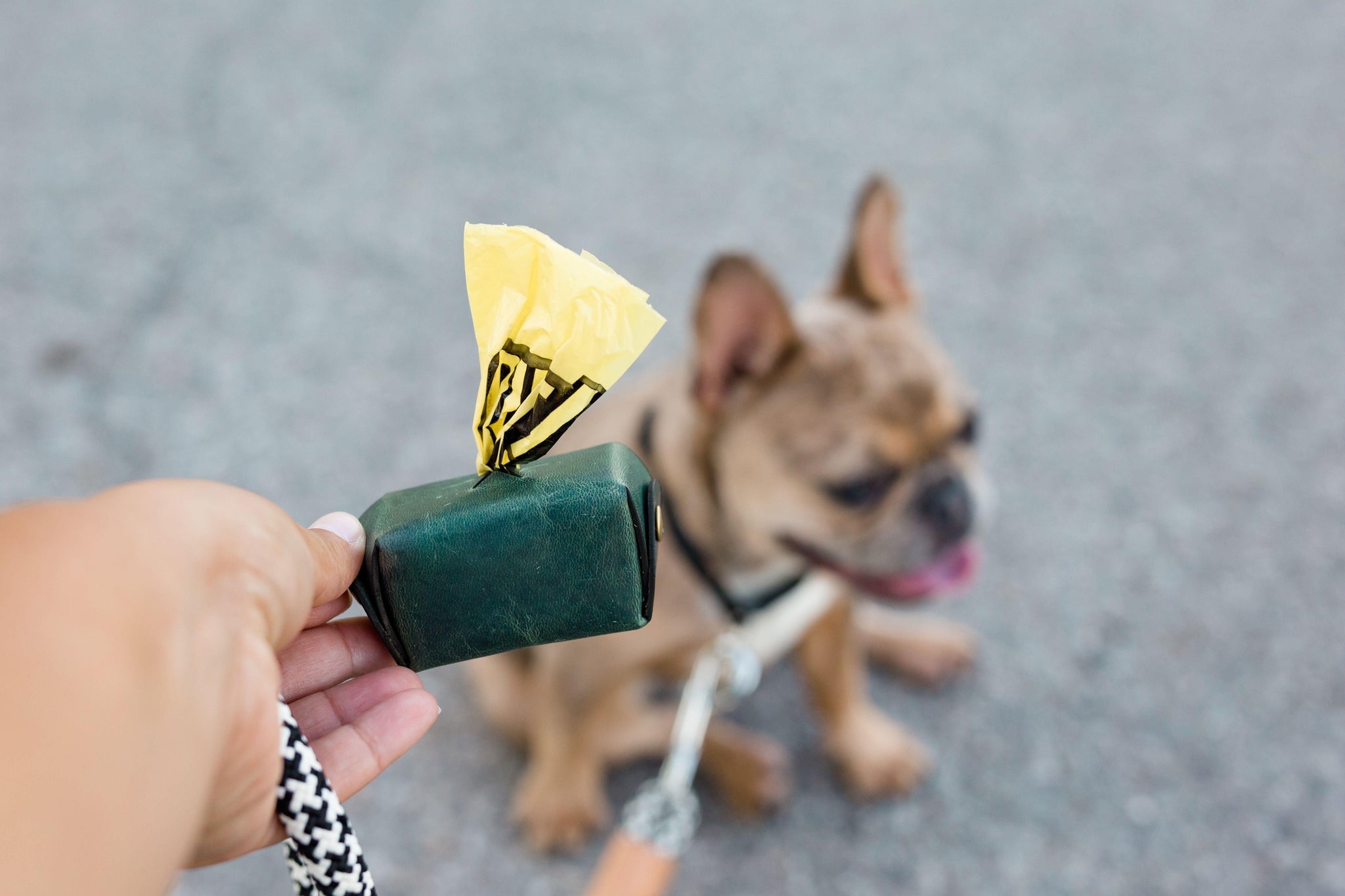 Doggy Bag Treasure Chest - Espacio Handmade