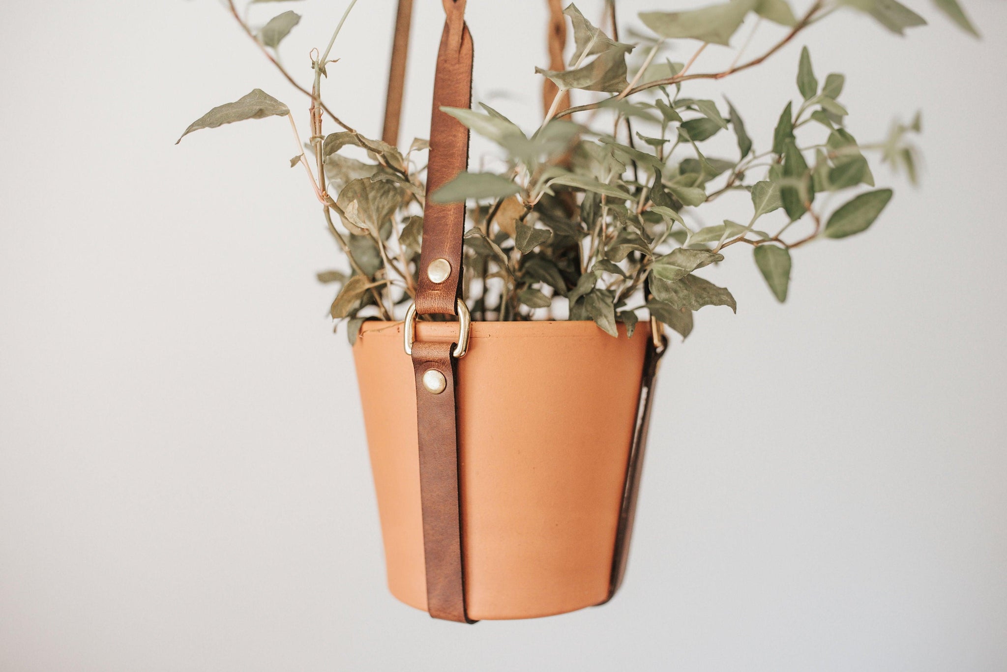 Braided Leather Hanging Planter - Espacio Handmade